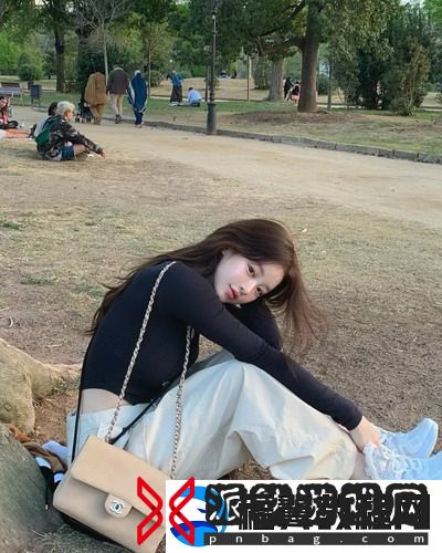 欧美大片ppt免费ppt，如何轻松获取高质量ppt模板？