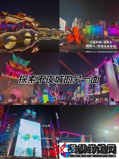 夜趣