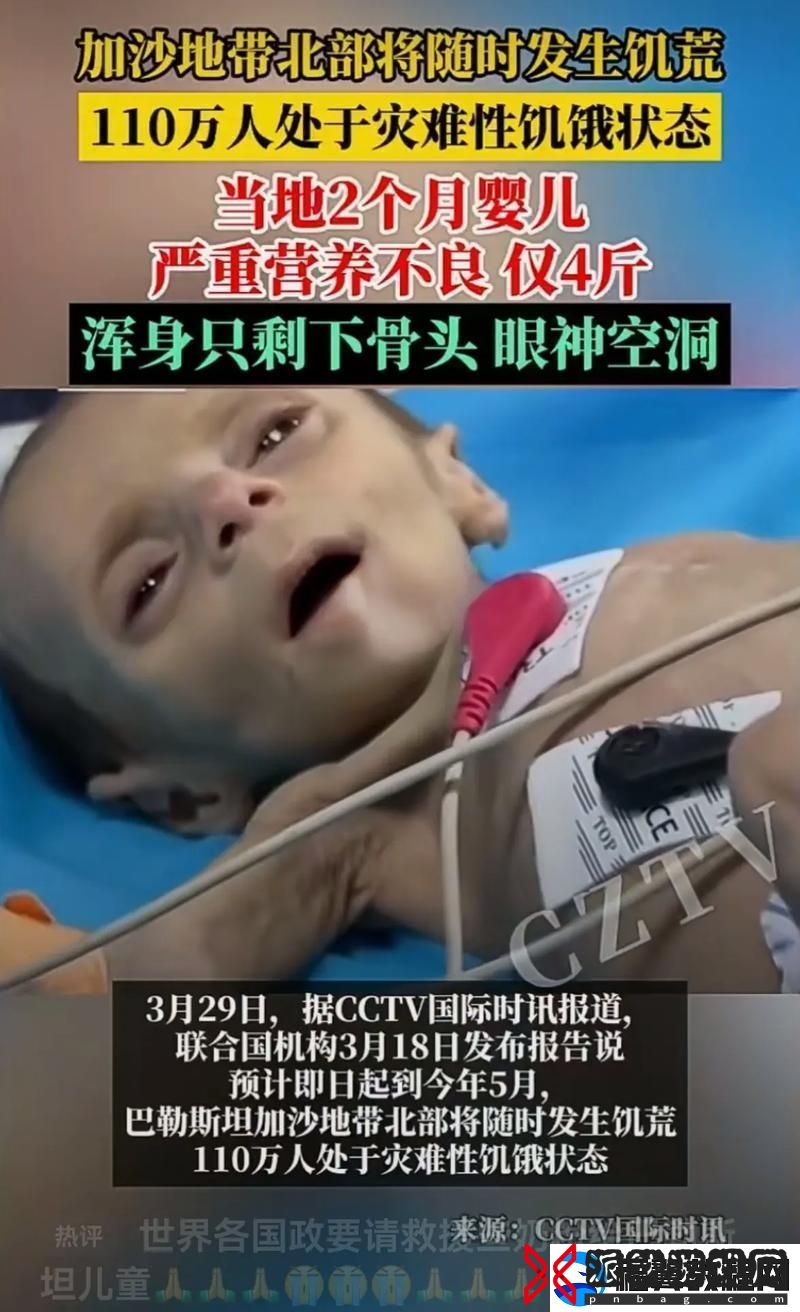 饥饿的阿-需要灭火上线-友：我的生活也是一场灼热的挑战
