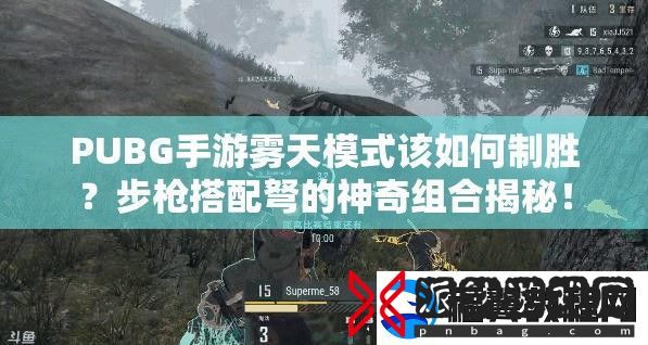 PUBG手游雾天模式该如何制胜-步枪搭配弩的神奇组合揭秘！