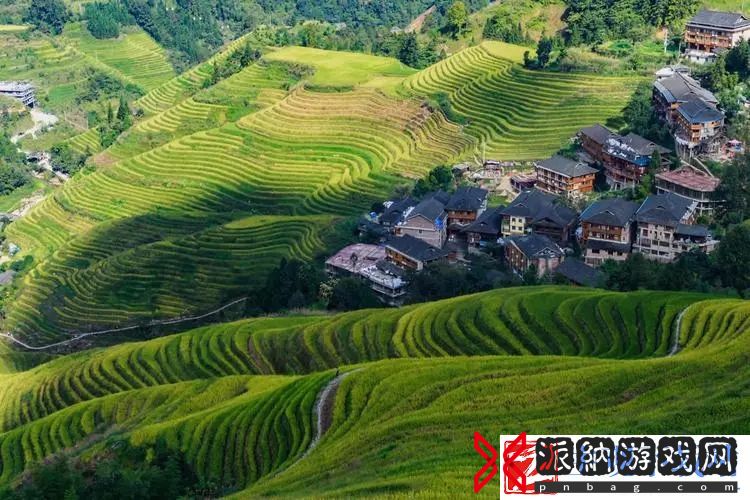 国产与进口x7x7x7槽比较：选择X7X7X7槽时该看哪些-国产与进口版本的全方位比较。