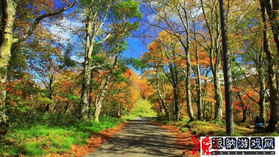佛帐潮绣凸浮双龙耳帐