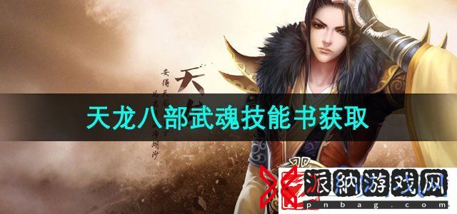天龙八部武魂技能书怎么获得-武魂技能书获取方法