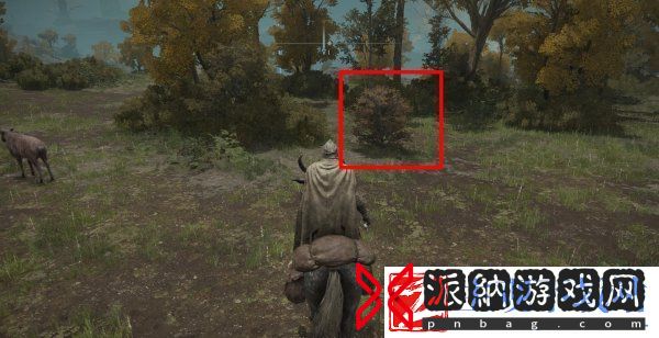 艾尔登法环柏克支线怎么做