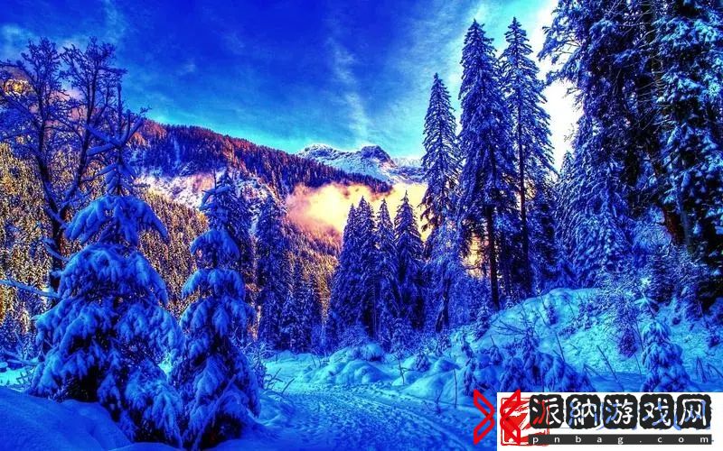 黄金网站软件app入口