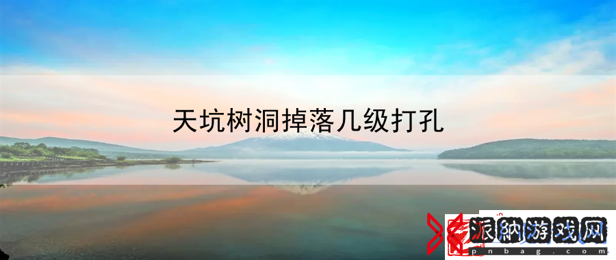 天坑树洞掉落几级打孔