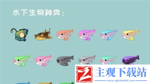 让你在水下探险游刃有余！