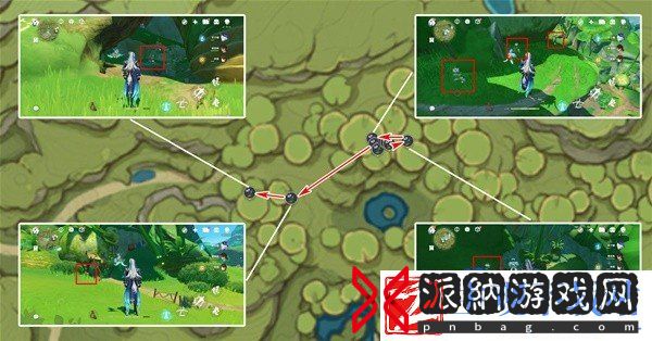 原神4.8帕蒂莎兰在哪采集