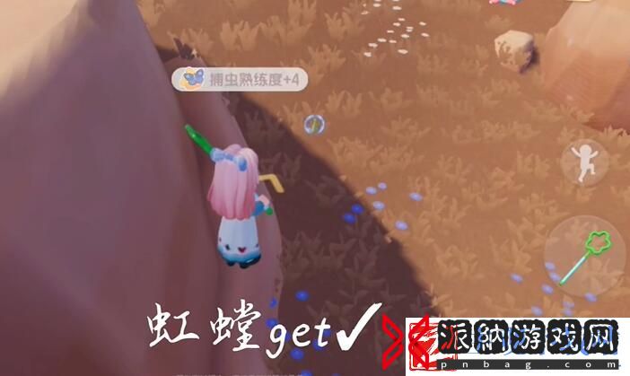 心动小镇捕虫方法分享
