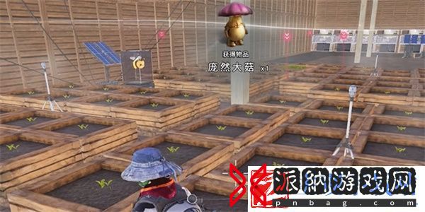 七日世界庞然大菇获得方法推荐