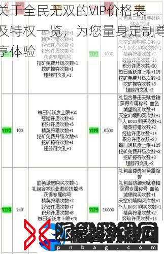 关于全民无双的VIP价格表及特权一览-为您量身定制尊享体验
