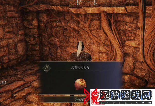 艾尔登法环受净化的废墟地下室在哪