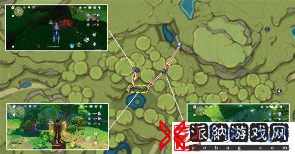 原神4.8帕蒂莎兰在哪采集