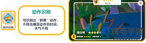 心动小镇观鸟爱好怎么解锁