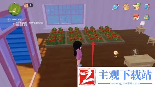 心动小镇番茄怎么获得