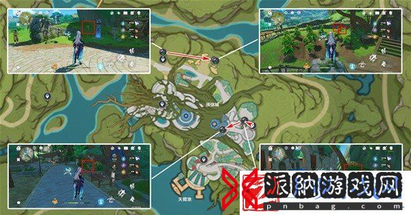 原神4.8帕蒂莎兰在哪采集