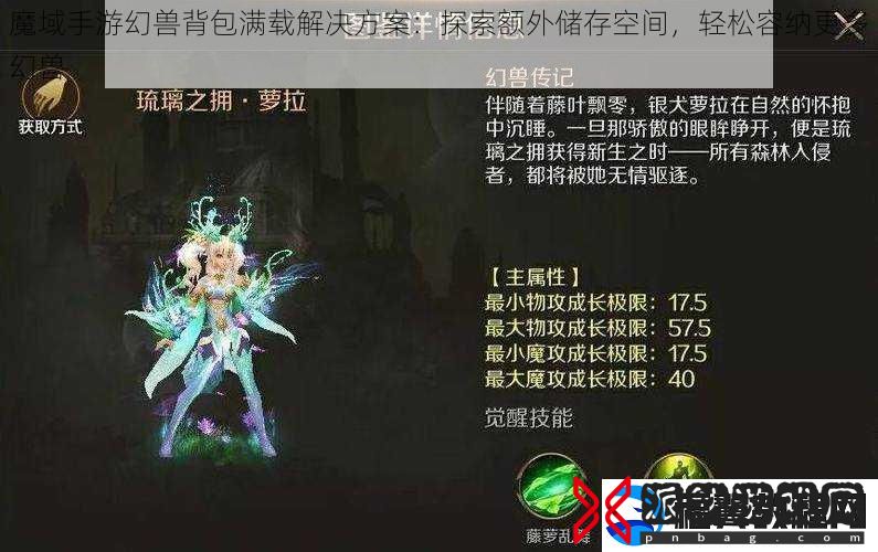 魔域手游幻兽背包满载解决方案