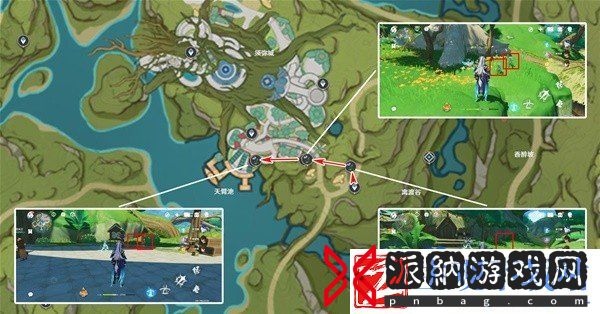 原神4.8帕蒂莎兰在哪采集