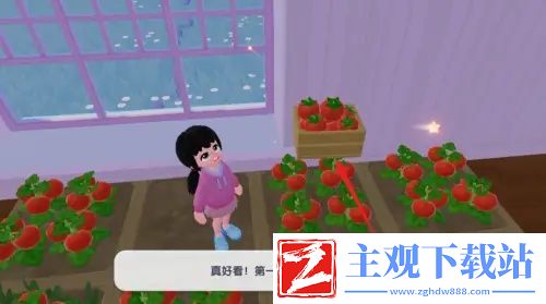 心动小镇番茄怎么获得