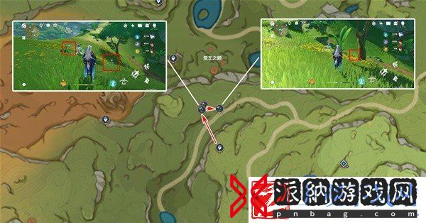原神4.8帕蒂莎兰在哪采集