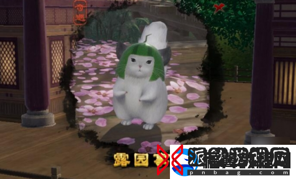 剑网3露园事宠物奇遇怎么做