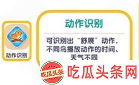 心动小镇观鸟爱好解锁方法