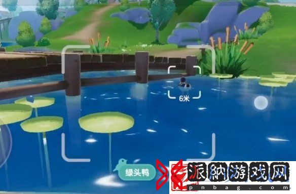 心动小镇观鸟爱好解锁方法
