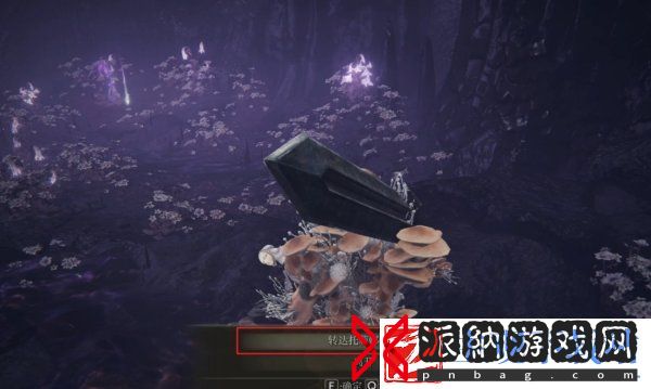 艾尔登法环托莉娜的微笑怎么获取