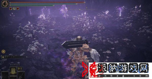 艾尔登法环托莉娜的微笑怎么获取