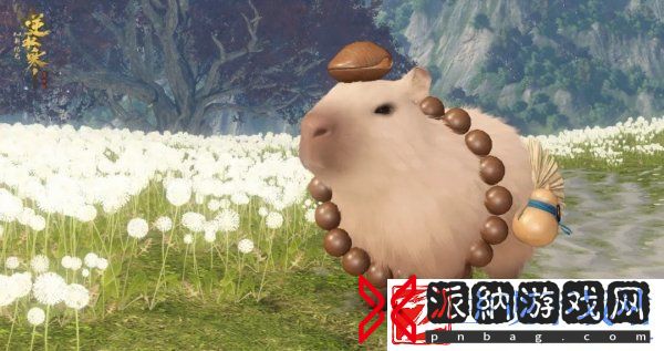无限流+网游
