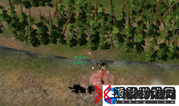 剑网3露园事宠物奇遇怎么做