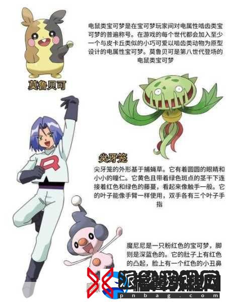 口袋妖怪火箭队