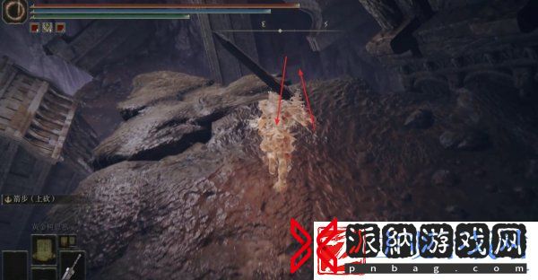 艾尔登法环托莉娜的微笑怎么获取