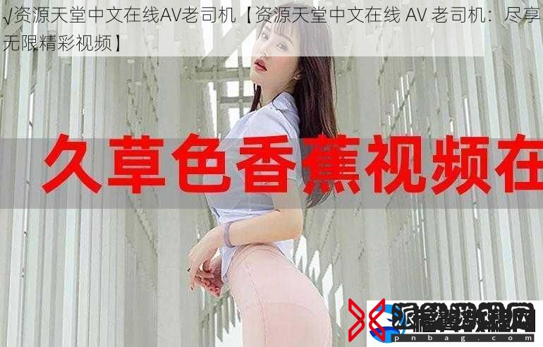 √资源天堂中文在线AV老司机【资源天堂中文在线