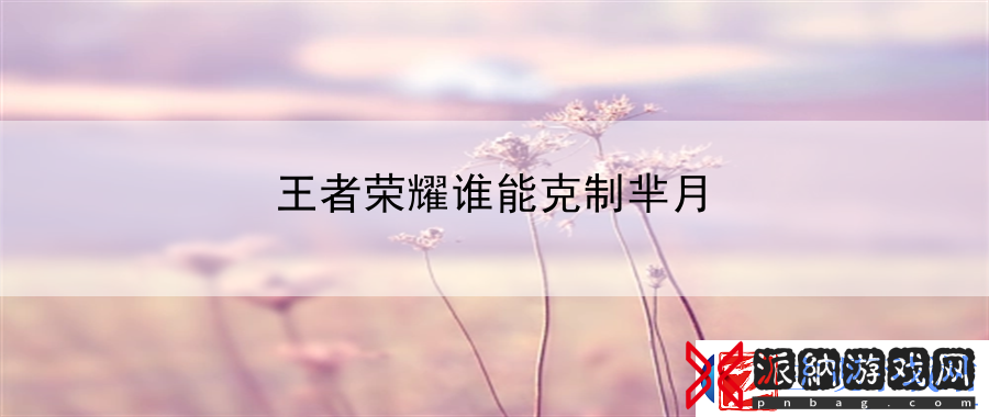 王者荣耀谁能克制芈月