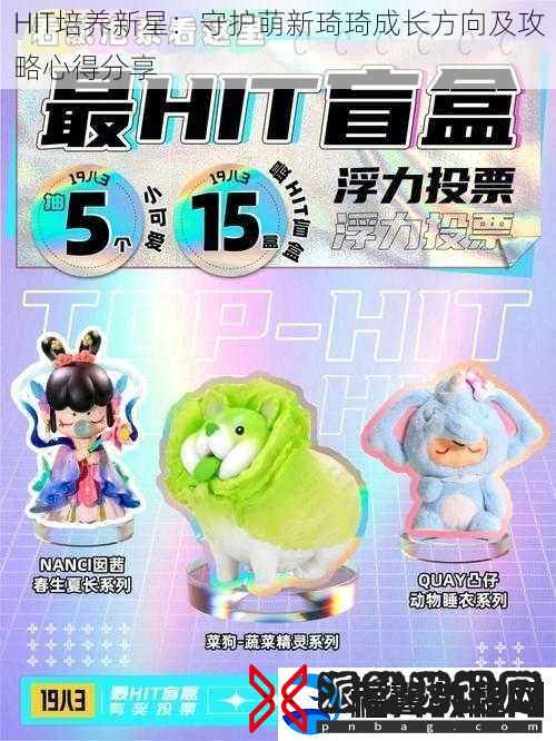 HIT培养新星：守护萌新琦琦成长方向及攻略心得分享