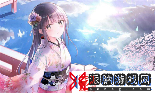 欧美人玩PS4和XBOX的比例