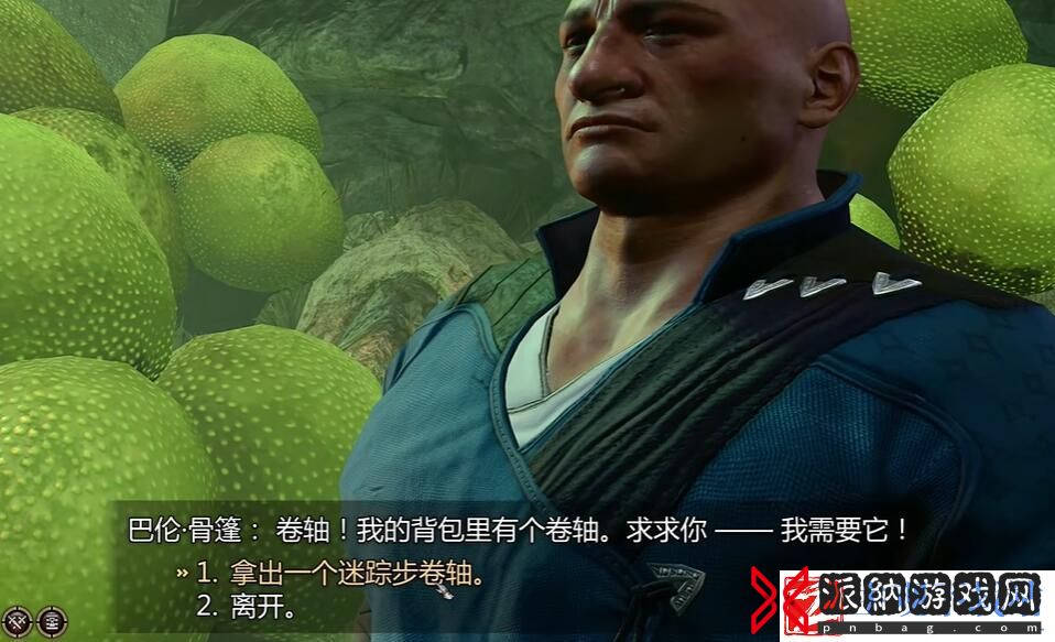 博德之门3蘑菇猎人背包位置介绍