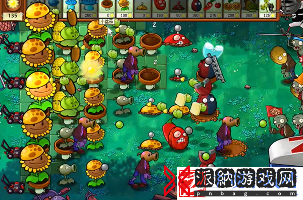 植物大战僵尸杂交版冒险39关怎么过