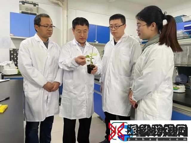 畜牧新篇