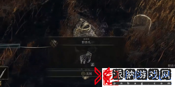艾尔登法环野兽爪获得方法推荐
