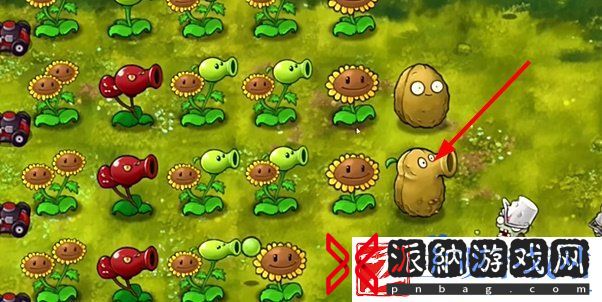 植物大战僵尸融合版植物有哪些