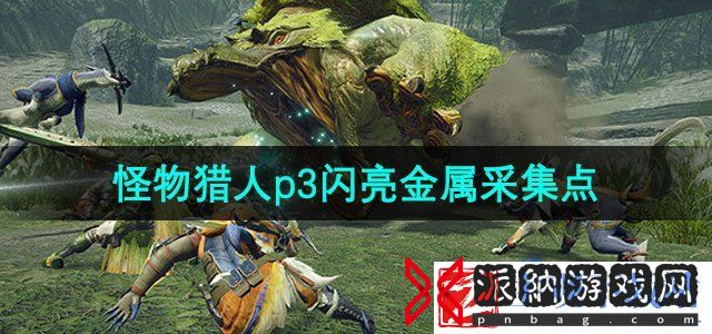 怪物猎人p3闪亮金属在哪采集-p3闪亮金属采集点位置