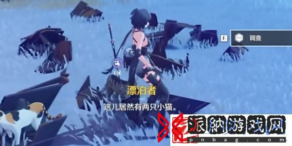 鸣潮帮小棠找猫任务完成方法