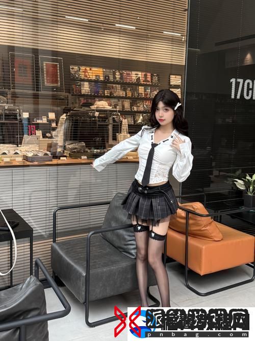 探秘17C丨国产丨精品入口永久地址的魅力与价值