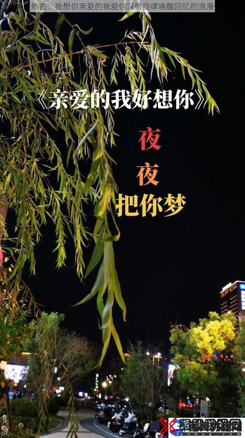 抖音热曲