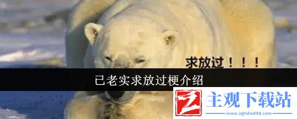 已老实求放过梗介绍