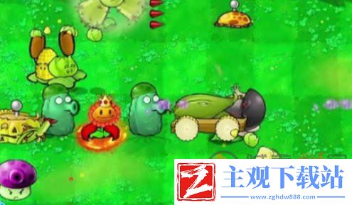 植物大战僵尸杂交版启动白屏如何解决 植物大战僵尸杂交版启动白屏解决办法