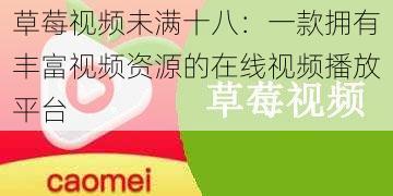 草莓视频未满十八