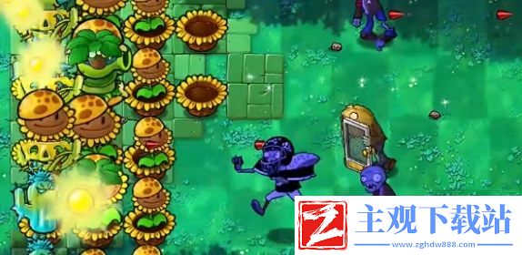 植物大战僵尸杂交版挑战模式第16关通关攻略